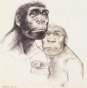 immagine per Lo scimpanzé e i Beatles